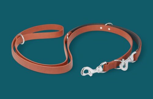 Laisse en cuir 2m - 4 points - Modèle RÉFÉRENCE