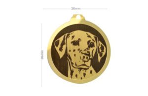 Médaille Dalmatien