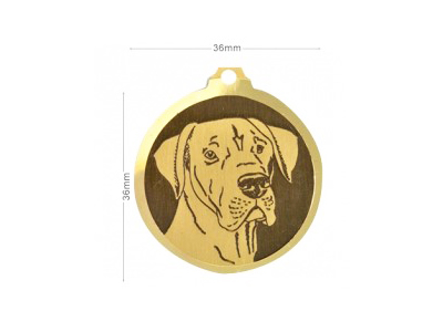 Médaille Dogue Allemand