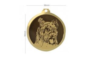 Médaille Briard