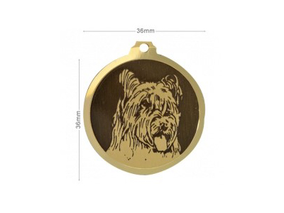 Médaille Briard