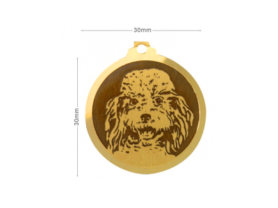 Médaille Caniche Moyen