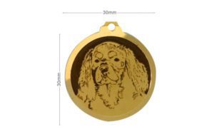 Médaille Cavalier King Charles