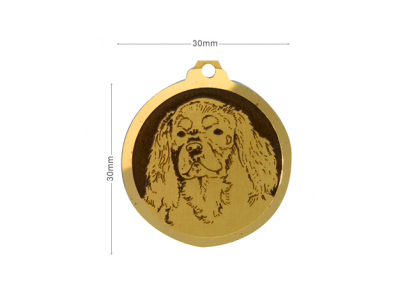 Médaille Cavalier King Charles