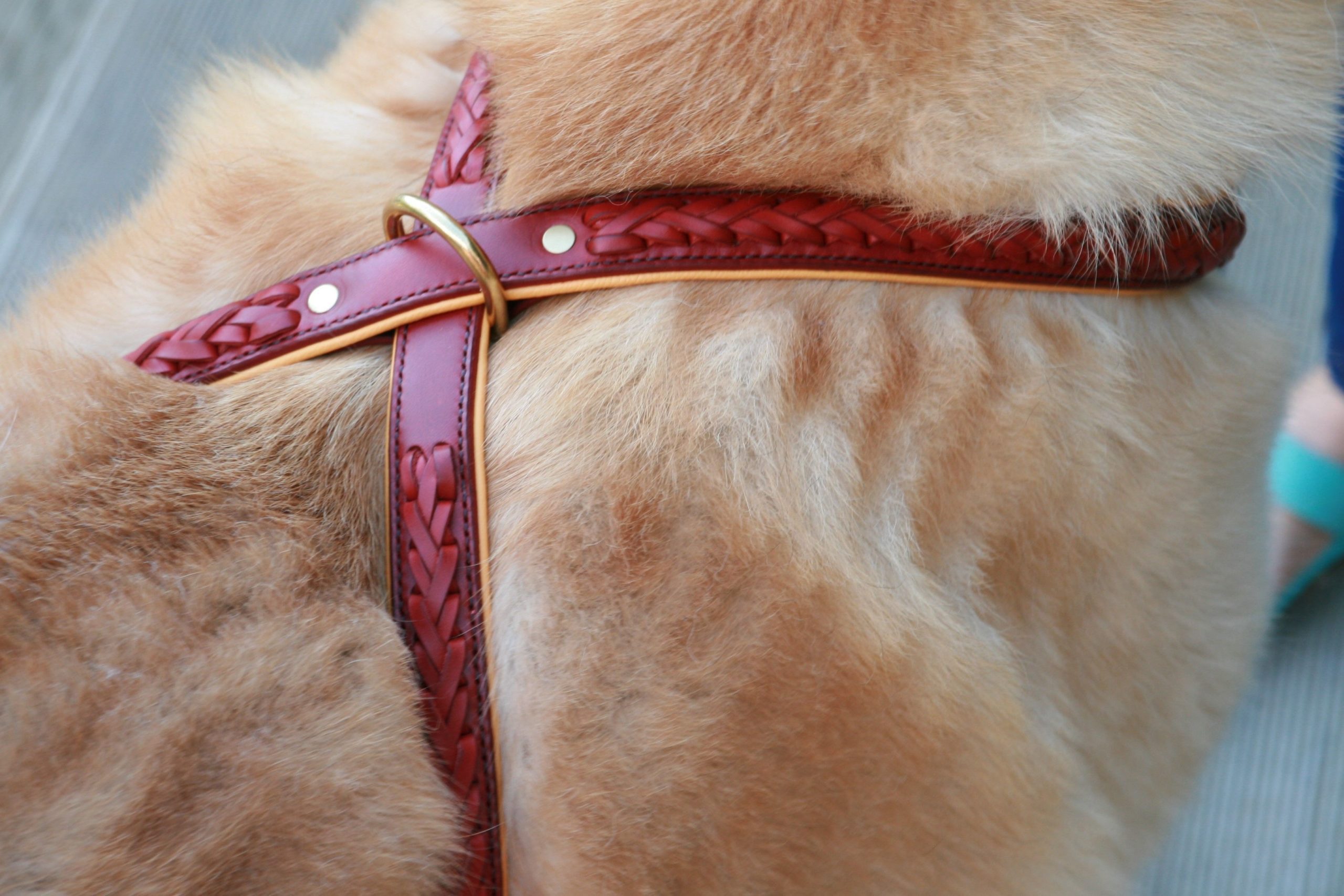 Atelier Napoléon - Colliers, harnais, laisses en cuir pour chiens