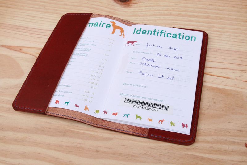 Protège carnet de santé pour chien, etui passeport, chiens en balade rose,  nom brodé - Un grand marché