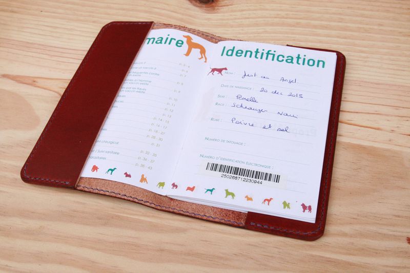 Carnet de santé chien, protège carnet de santé, vaccinations, carnet ,  dossier médical chien, - Un grand marché