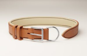 Collier Chien DROIT Confort