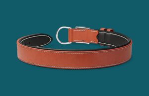 Collier chien en cuir - Modèle L'URBAIN - Avec couleur au choix