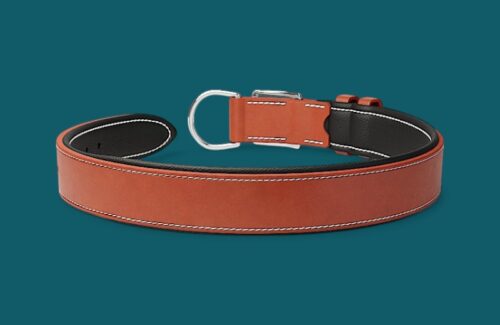 Collier chien en cuir - Modèle L'URBAIN - Avec couleur au choix