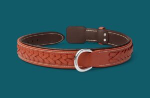 Collier chien en cuir -Modèle Le TRESSÉ - Avec couleur au choix