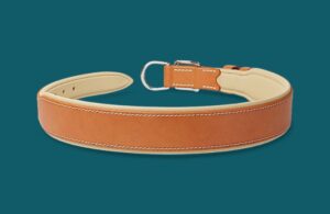 Collier chien en cuir mi-large - Modèle GRAND CONFORT - Avec couleurs au choix