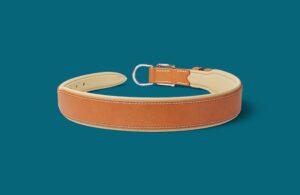 Collier chien en cuir mi-large - Modèle GRAND CONFORT - Avec couleurs au choix