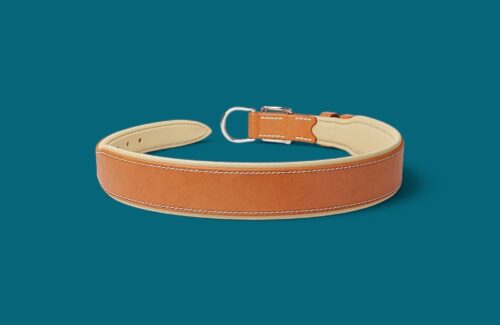Collier chien en cuir mi-large - Modèle GRAND CONFORT - Avec couleurs au choix
