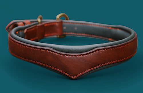 Le SUPERDOG - Notre Collier chien en V masculin