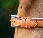 collier cuir braque hongrois - ATELIER NAPOLEON - vue 19