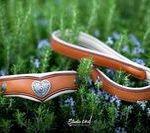 collier cuir braque hongrois - ATELIER NAPOLEON - vue 14