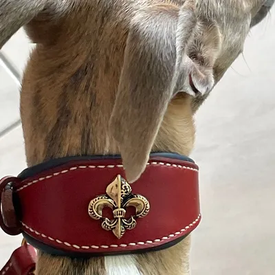 Nos ORNEMENTS pour personnaliser un collier