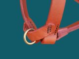 Anneau anti-traction pour harnais de chien