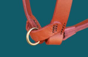 Anneau anti-traction pour harnais de chien