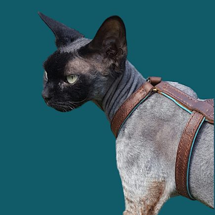 Harnais en cuir pour chat