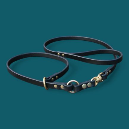 Nos Laisses LASSO en cuir