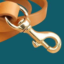 Nos 3 laisses en cuir INCONTOURNABLES
