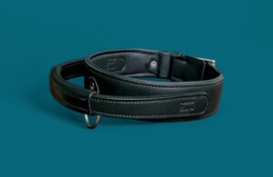 Collier chien en cuir - Modèle TACTIQUE