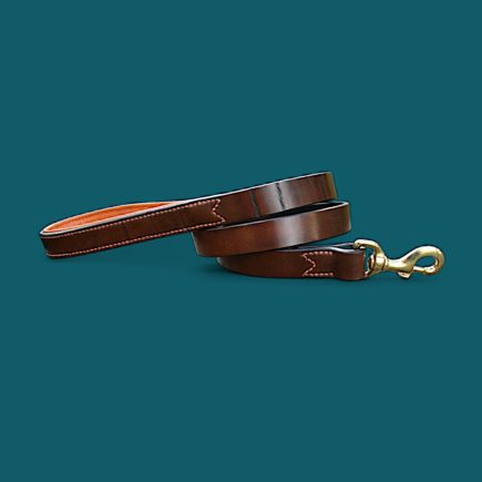 Les Laisses LARGES en cuir - Jusqu'à 3 cm
