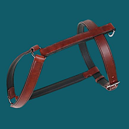 L'EXPLOREUR - Notre harnais en cuir pour chien incontournable