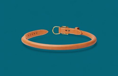 Collier Teckel en cuir cousu rond