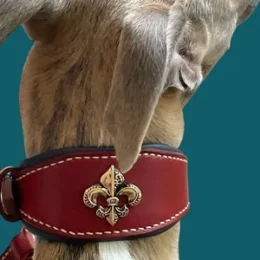 Nos ORNEMENTS pour personnaliser un collier