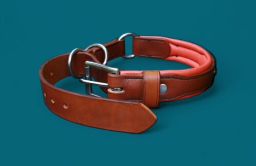 Collier Saint Bernard en cuir - Semi-étrangleur