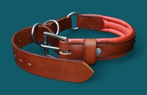 Collier Saint Bernard en cuir Modèle 2 en 1