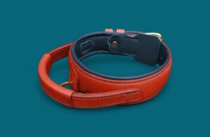 Collier DOBERMANN en cuir avec POIGNÉE