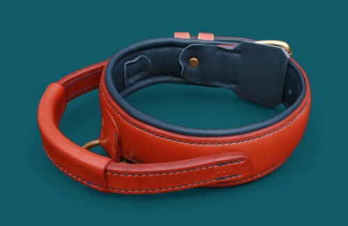 Collier DOBERMANN en cuir avec POIGNÉE