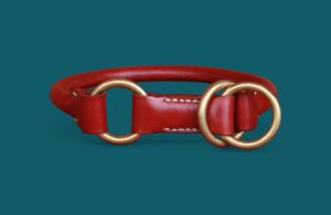 Collier Berger allemand - SEMI-ÉTRANGLEUR cuir rond