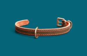 Collier en cuir pour Yorkshire - modèle SÉRÉNITÉ