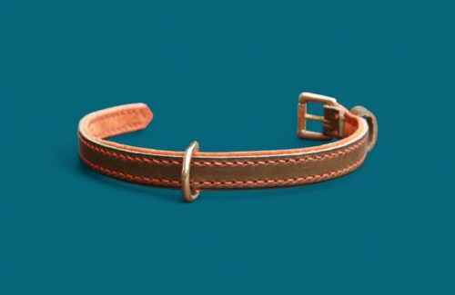 Collier en cuir pour Yorkshire - modèle SÉRÉNITÉ