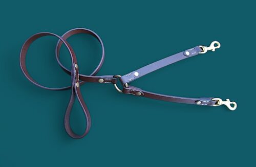 Laisse accouple en cuir pour 2 CHIENS
