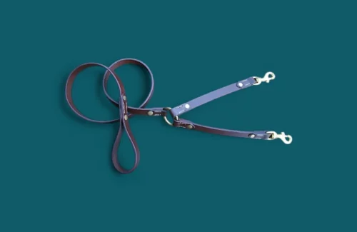 Laisse accouple en cuir pour 2 CHIENS