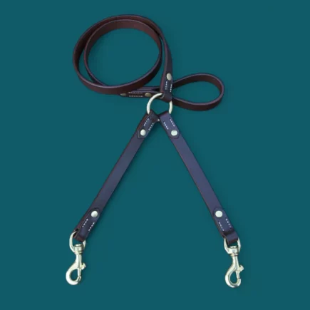 Les Laisses accouple en cuir