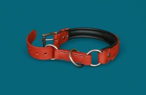 Collier Berger allemand - SEMI-ÉTRANGLEUR avec amplitude réglable