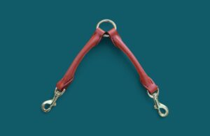 Accouple en cuir rond pour 2 CHIENS