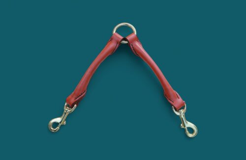 Accouple en cuir rond pour 2 CHIENS