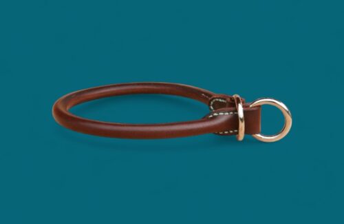 Collier Berger allemand - Modèle ANTI-TRACTION en cuir rond - Avec couleurs au choix
