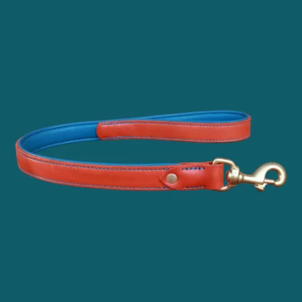 Laisses courtes 50cm - 1m