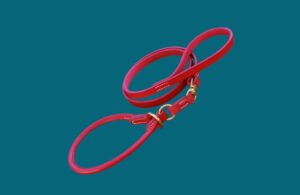 Laisse LASSO - Modèle 360 - Cuir rond