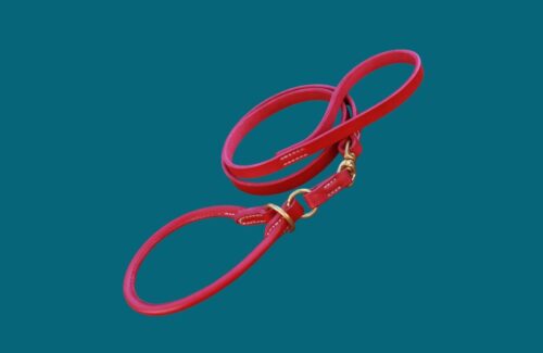 Laisse LASSO - Modèle 360 - Cuir rond