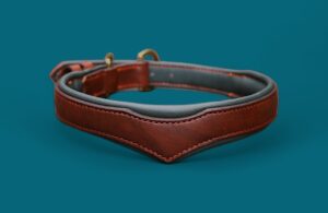 Le SUPERSTAFF - Le Collier en cuir pour les Staffs